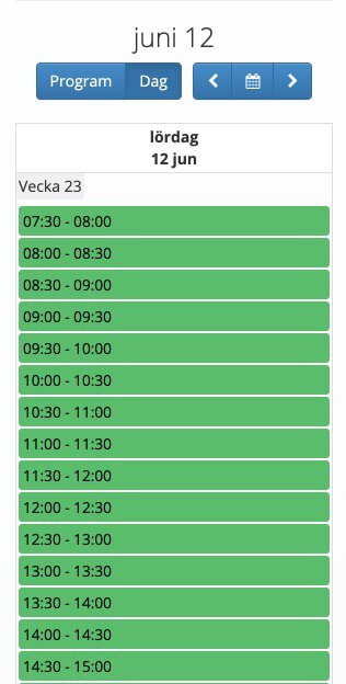mobilanpassad kalender dag
